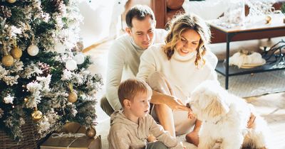 Warning to all dog owners ahead of Christmas dinner being served