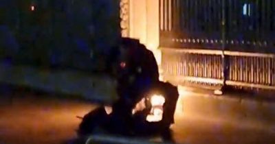 Protester sets fire outside Buckingham Palace gates before being hauled to ground by police