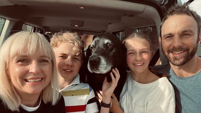 Uggie the therapy dog reunited with family five days after being stolen from Adelaide clinic