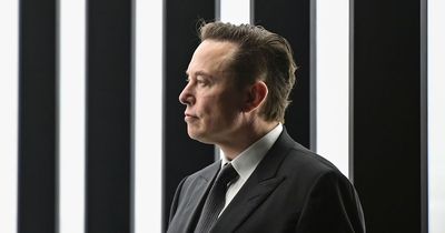 Elon Musk promises to quit as Twitter boss once he finds 'someone foolish enough to take the job'