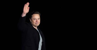 Elon Musk to quit as Twitter boss once he finds 'someone foolish enough to take job'