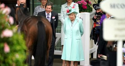 You can buy a share in horse named in honour of Queen for £60