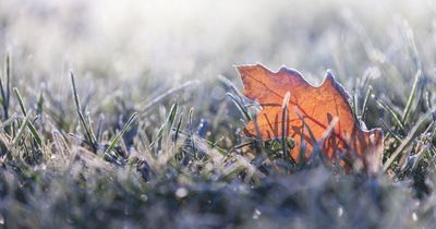 Ireland weather: Met Eireann warnings come to end amid 'bright spell' before big change