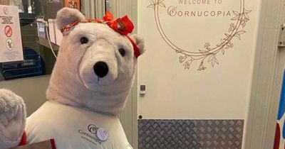 Stolen 'free hugs' bear returned to Dublin restaurant in Christmas miracle