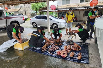 Woman caught with carcasses of protected wildlife