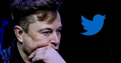 Elon Musk will quit as Twitter CEO if he finds someone ‘foolish enough’ to take over