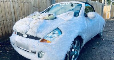Fluffy cat-themed car covered in 'fur' on sale for £2,500