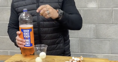 TikTok user makes 'Irn-Bru flavoured boiled egg' in unusual experiment