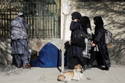Reaction to Taliban-led Afghanistan suspending university access for women