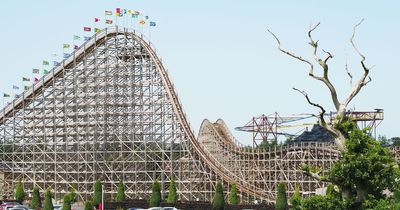 Ireland jobs: Tayto Park is hiring for full-time roles and the benefits are fantastic