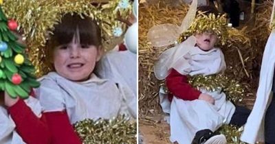 Little angel steals show in first Christmas nativity play by falling asleep during performance in Sunderland