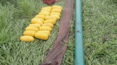 BSF shoots down Pak drone, recovers around 30 kg of heroin in Punjab