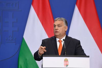 Hungary's Orban wants to 'drain the swamp' in European Union