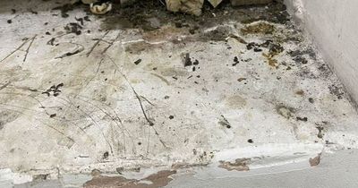 Fifty customers rescued from rat-infested counterfeit shop after being 'held against their will'