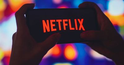 Sharing Netflix password may be illegal, Government suggests