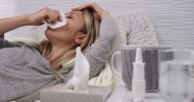 Pharmacist advises whether paracetamol or ibuprofen is best during winter lurgy season