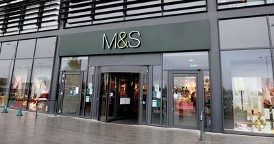 Marks and Spencer shoppers rush to buy £17 Christmas jumper that's SO soft it rivals expensive cashmere