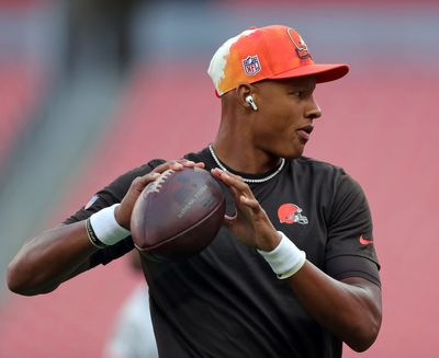 Titans Sign QB Josh Dobbs as Ryan Tannehill Deals With Injury