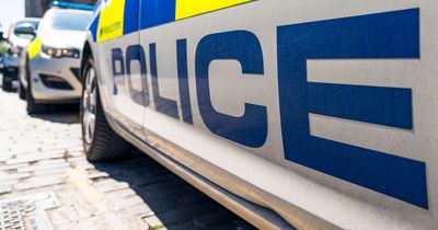 Driver who knocked down nine-year-old girl said 'she'll be alright' before driving away