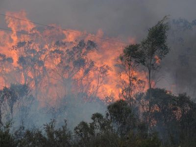 NSW facing decade-high bushfire risk