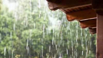 Bureau of Meteorology confirms rainfall records broken across NSW