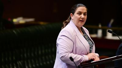 NSW Liberal MP Melanie Gibbons dumped after latest effort to run for upper house