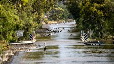 Riverland flood peak possible on Christmas Day as dry conditions spur hope Murray will recede quickly