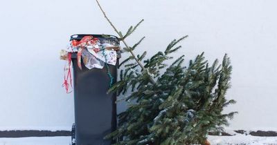 Christmas bin collection dates in Bristol, South Gloucestershire and North Somerset