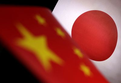 Japan to look into group's report of secret Chinese police stations