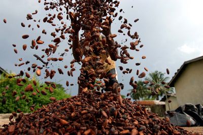 Ivory Coast battles chocolate companies to improve farmers’ lives