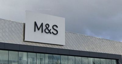 Marks & Spencer shoppers hail £17 Christmas jumper rivalling expensive cashmere