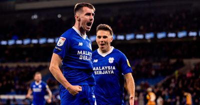 Eight Cardiff City players' contracts are up this season but transfer embargo could have big impact