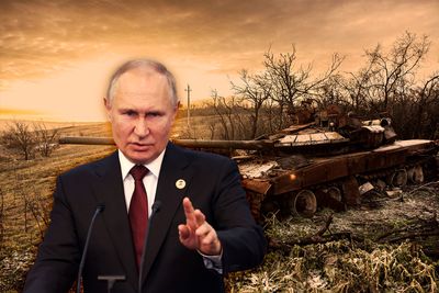 Putin's brain and the Ukraine disaster