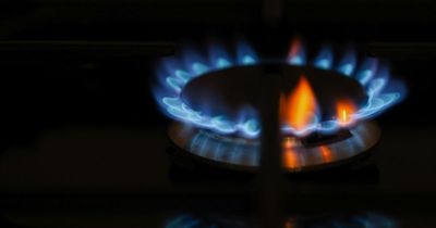 Five ways to reduce gas usage this winter and save up to £1,000 next year