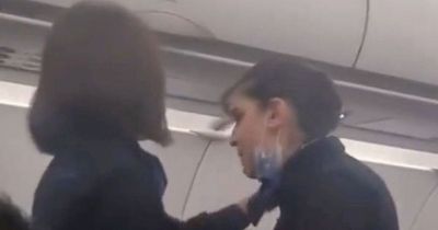 Airline worker screams 'I'm not your servant' at demanding passenger in row over sandwich