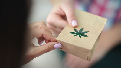 Cannabis Had a Rough Year, but There Are Bright Spots in 2023