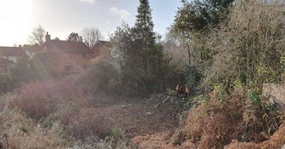 Dismay as trees cut down ahead of controversial housing scheme