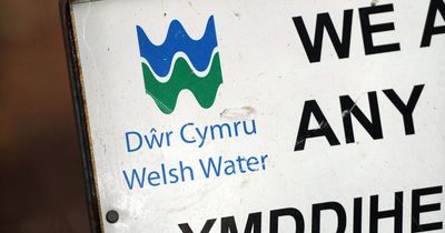 Two hundred properties still without water after 'challenging freeze-thaw' affecting pipes in west Wales