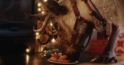 How to film a reindeer in your home this Christmas with McDonald's app