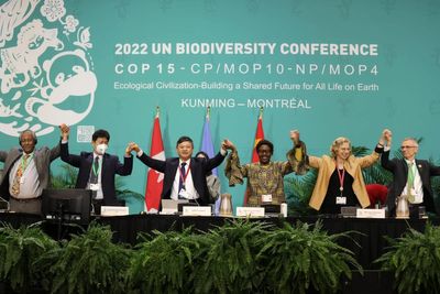Bold COP15 deal can halt and reverse biodiversity loss by 2030