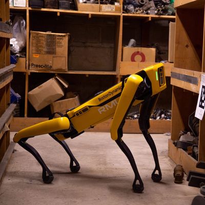 Spot, a 5G-powered robotic dog, and the technology of tomorrow