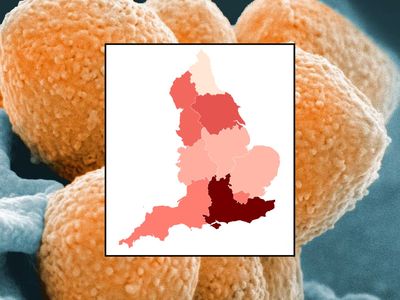 Strep A cases in your area as 24 children among UK dead