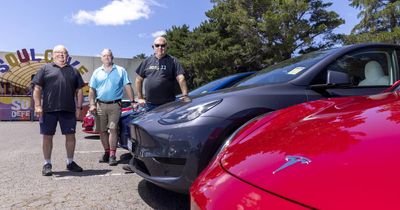 Would you still buy a Tesla? Drivers divided over the Elon Musk effect