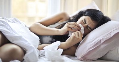 Difference between covid, flu, Strep A, and common cold symptoms