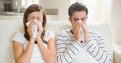 Covid, Strep A and flu - the key symptoms of each illness to look for