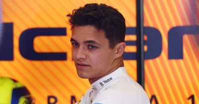 Lando Norris sent clear message by F1 fans amid speculation over Red Bull switch