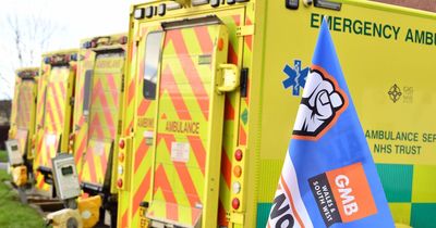 Welsh Ambulance Service workers vote to strike again