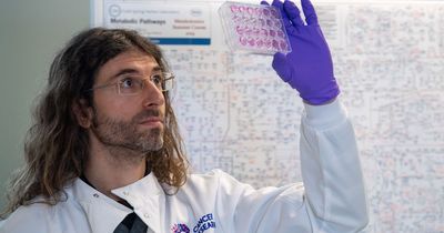 Scientists take first steps towards urine tests for cancer