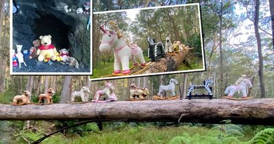 How did these rocking horses end up on Clyde Mountain?