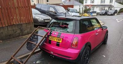 Woman claims Wales and West Utilities won't pay to fix her car smashed by road sign